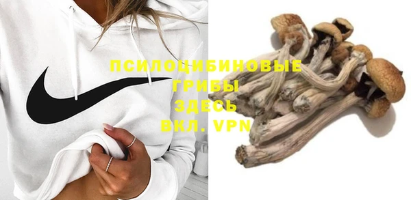 соль ск Богородицк