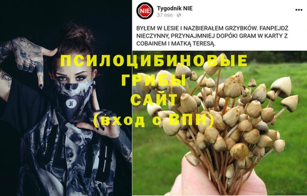 гашиш Сафоново