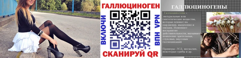 Псилоцибиновые грибы Cubensis  купить   Семилуки 